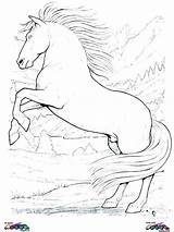 Horse Pages Coloring Wagon Getcolorings Carriage sketch template