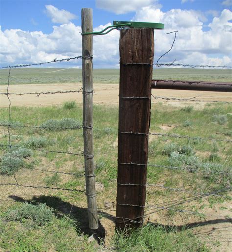 long horse ride blog conquering wire gates