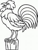 Ayam Jantan Mewarnai Berkokok Diwarnai Loh Siap Diatas Ukuran Silahkan Ada Contoh sketch template