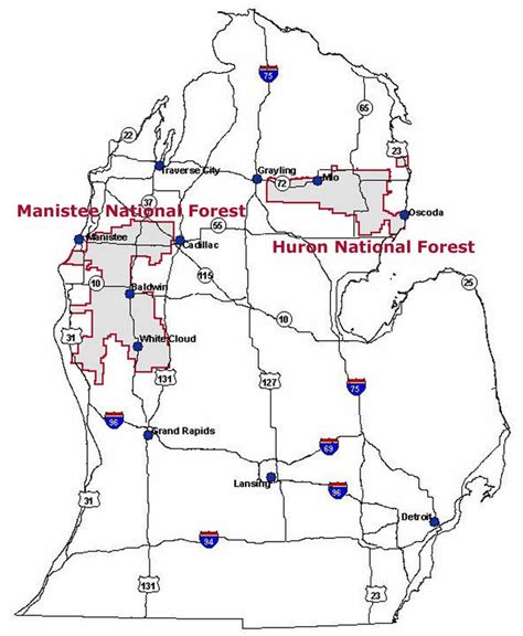 huron manistee national forests maps publications manistee national forest forest map