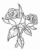 Rose Clipart Flowers Wikiclipart sketch template