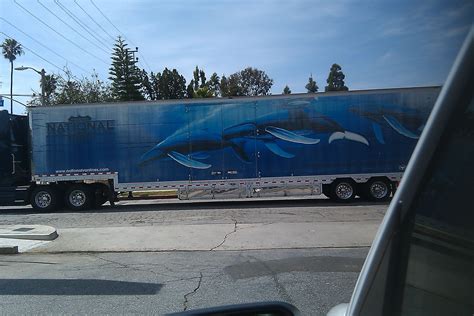 whales   truck trucks whale