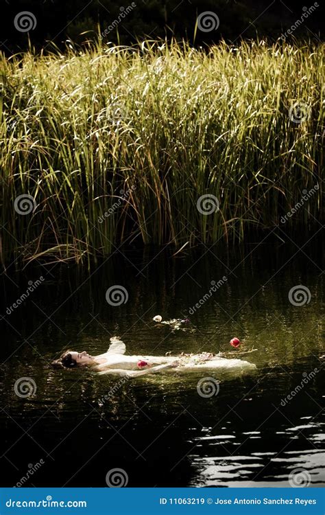 drown woman stock image image  relaxation homicide