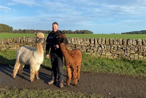 livestock attacks police scotland  rural organisations combine forces scottish land estates