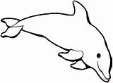 Coloring Pages Dolphin Baby Clipartmag sketch template