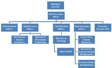 simplified health care organizational chart  scientific diagram