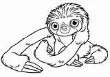 Sloth Croods Sloths Toed Sheets Bestcoloringpagesforkids Kidsplaycolor sketch template