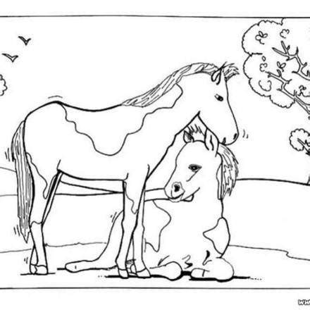 horse coloring pages  animals   world coloring books  kids