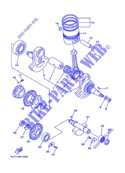raptor  parts diagram general wiring diagram