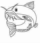 Coloring Pages Fish Catfish Printable sketch template