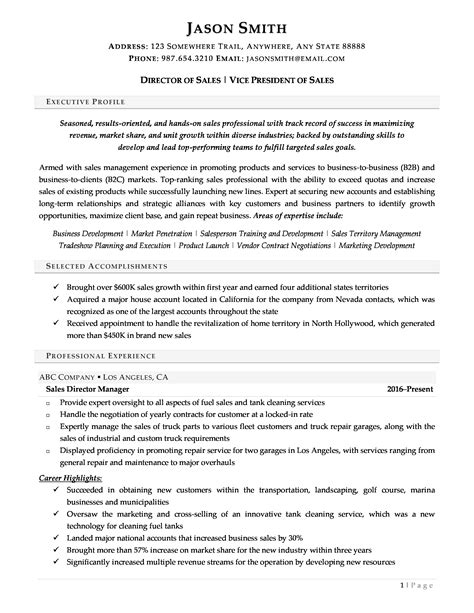 executive resume  resume valley