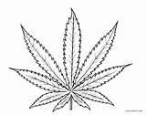 Leaf Coloring Pages Weed Marijuana Cannabis Printable Template Print Cool2bkids Sketch Worksheets Popular Kids sketch template