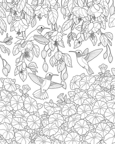 flower  hummingbird coloring pages