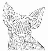 Pig Coloring Cute Adult Mandala Vector Bookpage Svg Meditation Ornaments Wearing Silhouette Mandalas Circular Symmetric Hearts Collection Set Dreamstime Thumbs sketch template