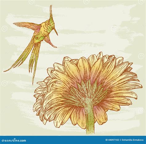 bird  flower stock vector illustration  textured