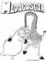 Madagascar Gloria Melman Coloriage Madagaskar Imprimer Dessin Colorier Colorir sketch template