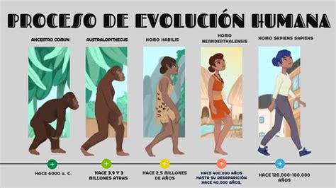 Proceso De EvoluciÓn