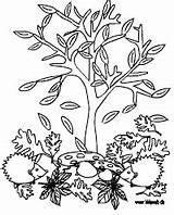 Herbst Malvorlagen Ausdrucken Malvorlage Kidsweb Herbstbaum Malen Baum Bastelideen Mandalas Vorlagen Drachen Jahreszeiten Fensterbilder Freigeben Halloween Frühling Vier sketch template