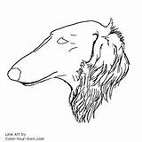 Borzoi Coloring Color Drawings Own Dog Webdesign Website sketch template