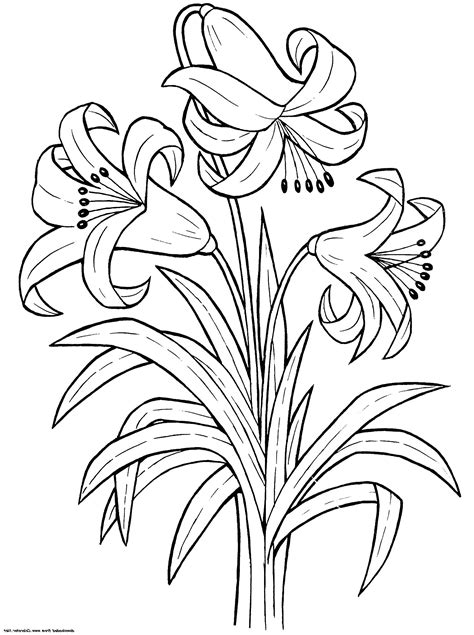flower printable coloring sheets
