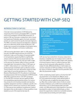 chip sequencing overview