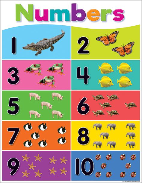 colorful numbers   chart tcr teacher created resources