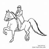 Saddlebred Sattel Pferde Tack Designlooter sketch template