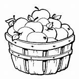 Coloring Pages Basket Apple Template Kids Apples Printable Fall Pic Fruit Pumpkin Sheets Colouring Awesome Adult Color sketch template