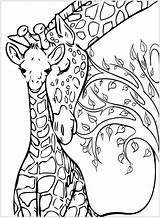 Giraffe Coloring Giraffes Baby Pages Color Mother Printable Adult Animal Tree Mom Background Adults His These Two Mandala Planet Animals sketch template
