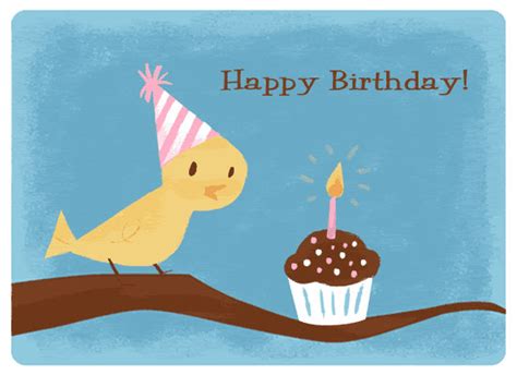 happy birthday birdingblogs