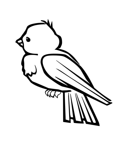 bird coloring pages    clipartmag