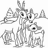 Rudolph Red Coloring Reindeer Pages Nosed Ones Little Hermey Pops sketch template