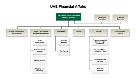 accounting department org chart