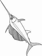 Zwaardvis Kleurplaat Swordfish Schwertfisch Stemmen sketch template