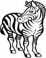 Zebra Drawing Coloring Awesome Line Kids sketch template