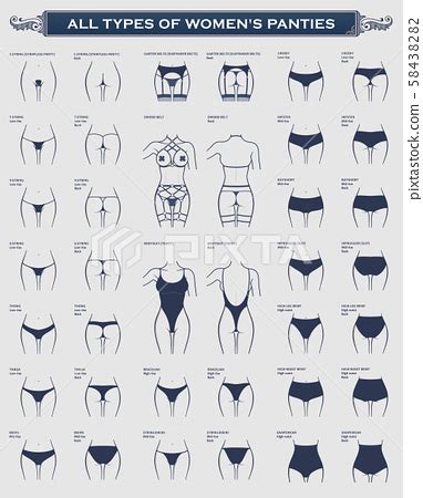 premium vector types womens panties collection  lingerie tyellocom