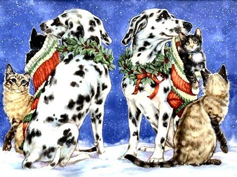 dalmatians christmas dalmatians kittens christmas christmas animals pet holiday