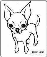 Coloring Pages Chihuahua Jack Dog Colouring Chihuahuas Drawing Russell Para Kids Printable Chiwawa Cartoon Dibujos Cartoons Imprimir Pet Pit Color sketch template