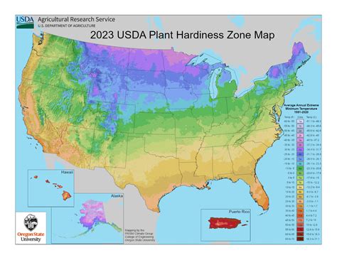 plant hardiness zone map  beginners garden