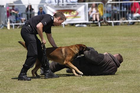 police dog wikipedia