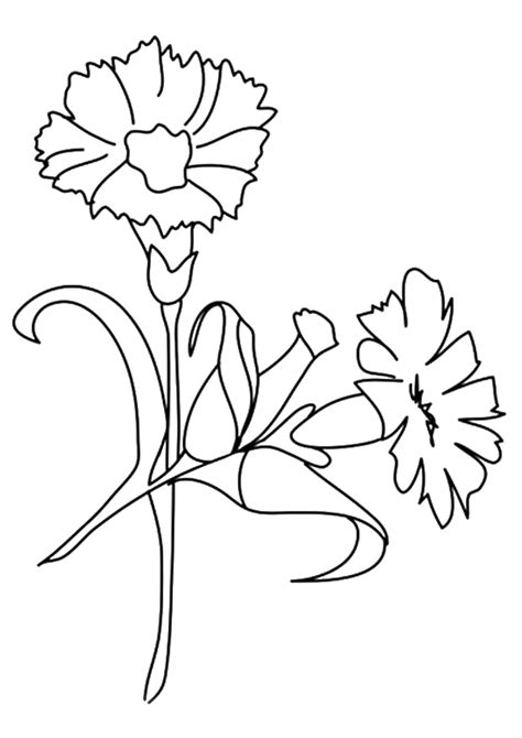 printable flower coloring pages  kids  coloring pages