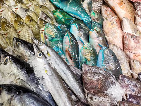 fresh fish  fish market  stocksy contributor bisual studio