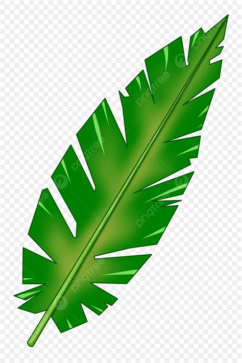 hoja verde tropical png dibujos hojas grandes plantas de verano hojas verdes tropicales png