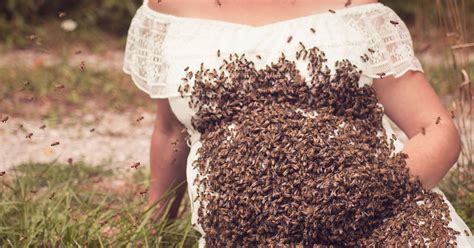 ohio mom poses for maternity photo with 20 000 bees huffpost