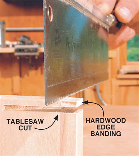tool cabinet popular woodworking magazine