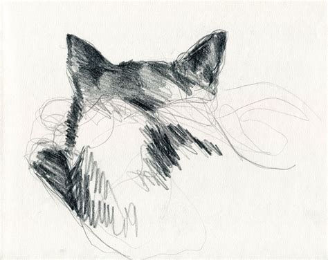 love  cats art design art sketches