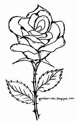 Bunga Mawar Mewarnai Diwarnai Kumpulan Tanaman Putih Batang Tanpa Merah Sketsa Animasi Pensil Pemandangan Menggambar Mudah Hias sketch template