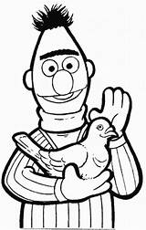 Pigeon Coloring Pages Bert Sesame Street Animated Pigeons Kids Color Coloringpages1001 Gifs sketch template