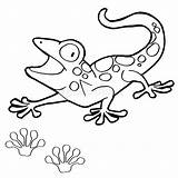 Gecko Paw Getcolorings Lizard sketch template