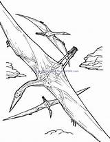 Quetzalcoatlus Coloring Pages Printable Template Animals Activities Info sketch template